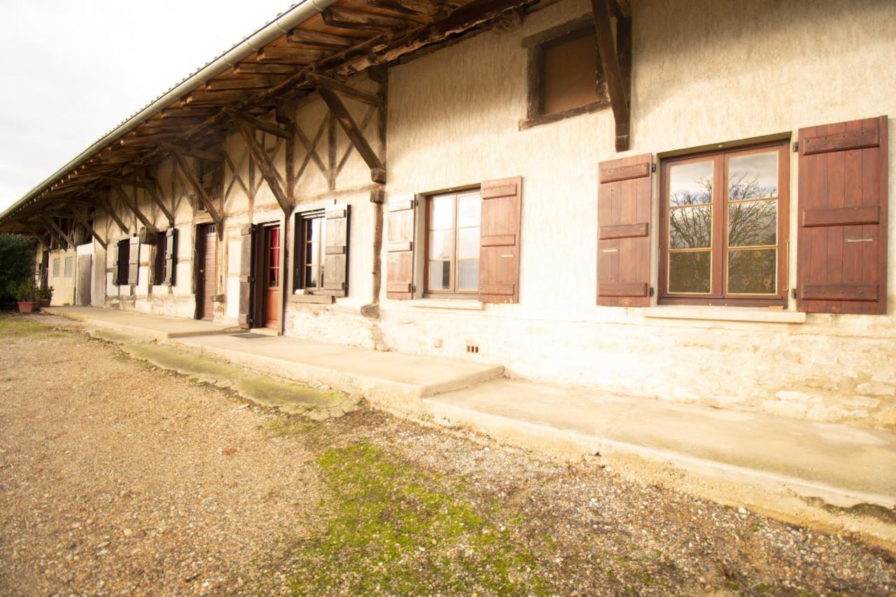 Ferme Bressane - 4 Chambres Saint-Etienne-du-Bois  エクステリア 写真